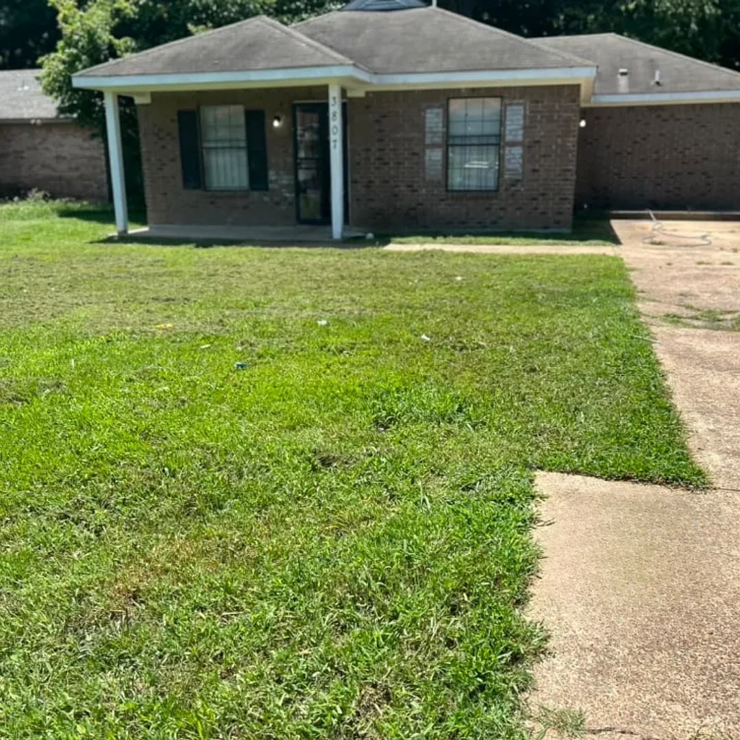 3807 Black Forest Dr, Memphis, TN 38128: Casa de Ladrillo de 4 Habitaciones Recientemente Remodelada con Chimenea